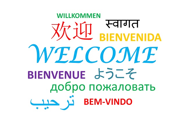 learn languages online